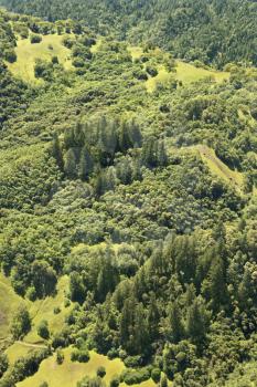 Royalty Free Photo of an Aerial of a Lush Mountainous Landscape With Trees