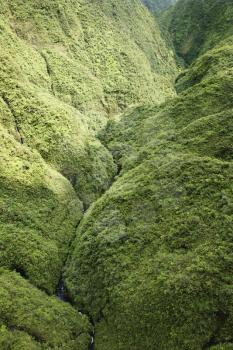 Royalty Free Photo of an Aerial View of a Rainforest valley in Maui, Hawaii
