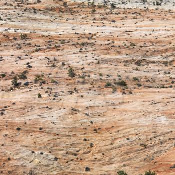 Desert landscape in Zion National Park, Utah.