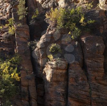Royalty Free Photo of Rocky Cliffs With Vegetation in Zion National Park, Utah