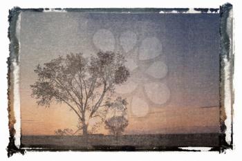 Royalty Free Photo of a Polaroid Transfer of a Silhouette of a Lone Tree at Sunset in a Rural Field