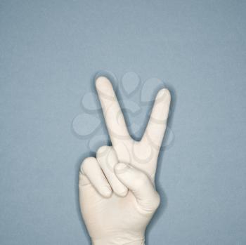 Royalty Free Photo of a Hand Wearing a White Rubber Glove and Giving the Peace Sign
