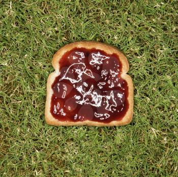 Royalty Free Photo of a Piece of Toast With Jam Laying in Grass