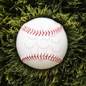 Royalty Free Photo of a Baseball Laying in the Grass