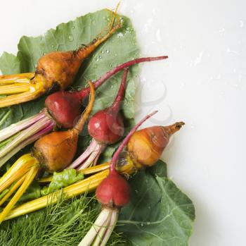 Royalty Free Photo of Freshly Washed Red and Golden Beets Resting on a Lettuce Leaf
