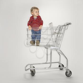 Royalty Free Photo of a Boy Standing in a Shopping Cart