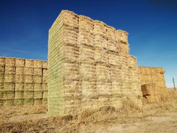 Royalty Free Photo of Bales of Hay