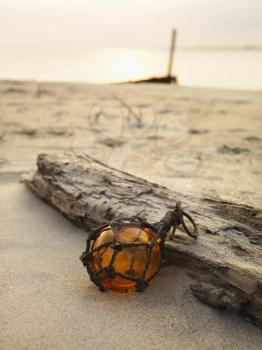 Glass globe net float with driftwood on beach.