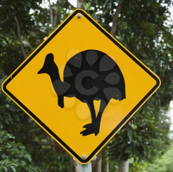 Royalty Free Photo of a Road Sign for a Cassowary Bird Crossing in the Forest