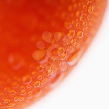 Royalty Free Photo of a Close-Up of Wet Red Ripe Tomato Against a White Background