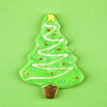 Christmas tree sugar cookie with decorative icing.