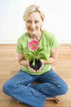 Royalty Free Photo of a Woman Holding a Pink Gerber Daisy