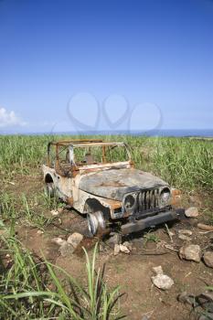 Abandoned car in a field with the ocean in the background. Vertical shot.