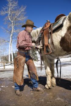 Man standing next to a horse while cinching up a saddle. Vertical shot.