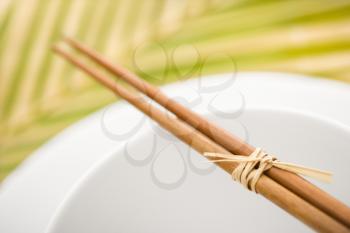 Chopsticks lying across an empty bowl on top of a plate. The dishes are white, and there is a palm frond in the background. Horizontal format.