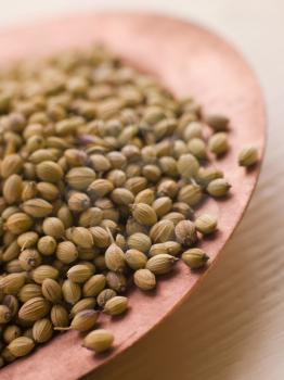 Royalty Free Photo of a Dish of Coriander Seeds