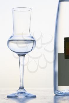 Royalty Free Photo of a Glass of Grappa