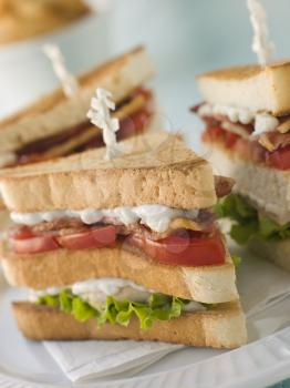 Royalty Free Photo of a Toasted Triple Decker Club Sandwich