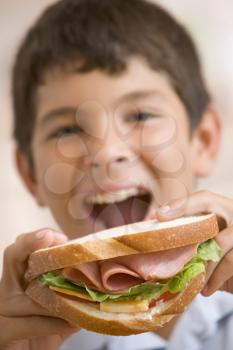Royalty Free Photo of a Young Boy Eating a Sandwich
