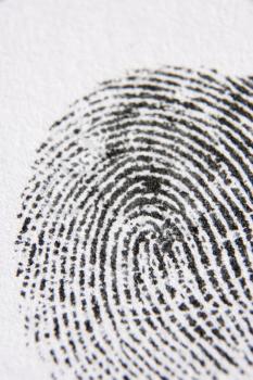 Royalty Free Photo of a Closeup of a Fingerprint