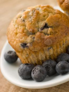 Royalty Free Photo of Blueberry Muffins