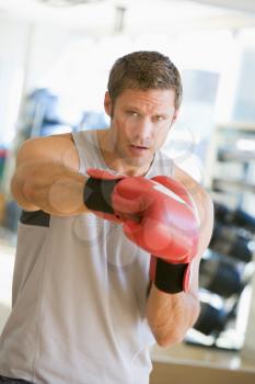 Royalty Free Photo of a Man Boxing