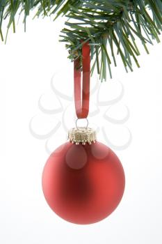 Royalty Free Photo of a Christmas Ornament on a Tree Branch