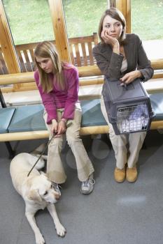 Royalty Free Photo of People in a Vet's Waiting Room