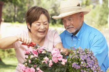 Royalty Free Photo of a Couple in a Garden