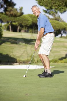 Senior Male Golfer On Golf Course Putting On Green