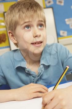 Schoolboy Studying In Classroom