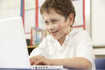 Schoolboy In IT Class Using Computer