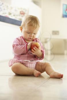 Baby Girl Sitting On Floor Looking At Apple