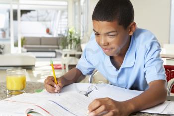 Boy Doing Homework In Kitchen