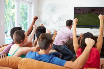 Group Of Friends Watching Soccer Celebrating Goal