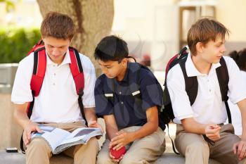 Male High School Students Hanging Out On School Campus