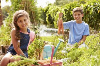 Two Children Working On Allotment Together