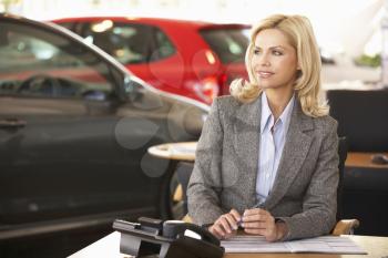 Woman working in car showroom