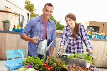 Mixed Race Couple Planting Rooftop Garden Together