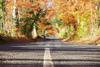 Country Road Through Autumn Woodland