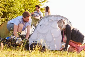 Group Of Young Friends Pitching Tents On Camping Holiday