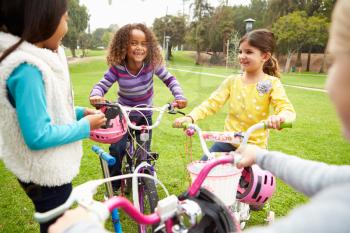 Group Of Young Girls With Bikes In Park