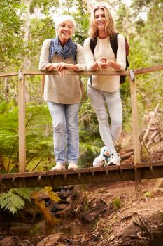 Grandmother and granddaughter on bridge in forest, vertical