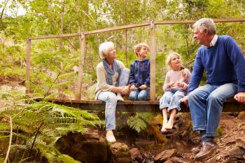 Grandparents sitting with grandkids on a bridge in a forest