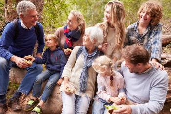 Multi-generation family with teens eating outdoors together