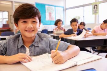 Asian schoolboy in elementary school class looking to camera