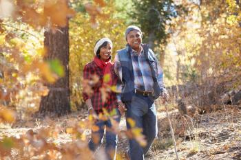 Senior African American Couple Walking Through Fall Woodland