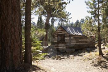Wooden cabin in a forest, Big Bear, California, USA