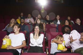 Audience In Cinema Watching Horror Film