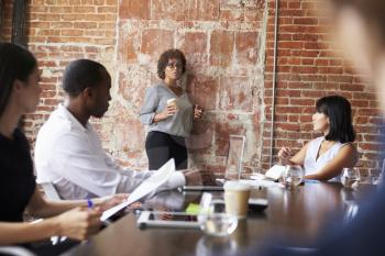 Mature Businesswoman Standing To Address Boardroom Meeting